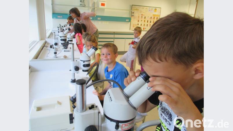 Vorschulkinder beim Labor-Erlebnistag. fvo