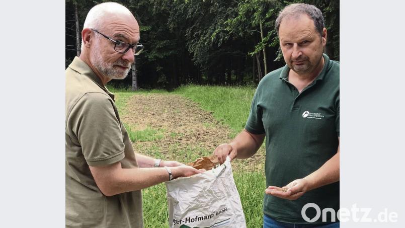3000 Euro kostet ein Sack dieser zertifizierten, den Lebensräumen angepassten Wildkräuter-Samenmischung. Ingo Greim und Thomas Parton (von links) brachten den wertvollen Samen bisher auf 19 Einzelflächen zwischen der Silberhütte und Oberviechtach aus. Clemens Fütterer