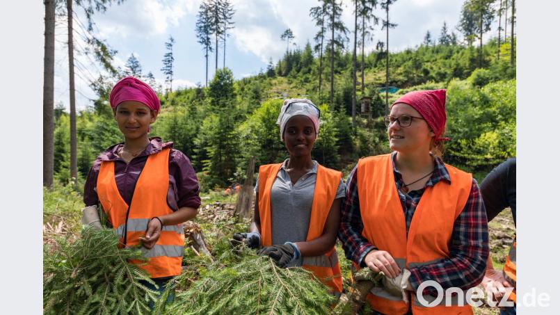 Freundinnen bei der Arbeit im Wald: Akberet Guesh und Diana Mheretad, beide aus Eritrea arbeiten gemeinsam mit Adelheid Rader, Sozialpädagogin an der Franz-Oberthür-Schule in Würzburg im Forstbetrieb Fichtelberg (v.l.n.r.) exb