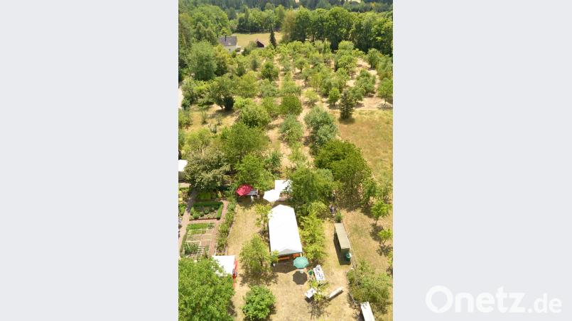 Hinten: der 14 000 Quadratmeter große Garten, auf dem alte Obstsorten erhalten werden HCZ