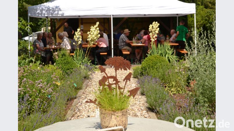 Ein kleines Zelt vor dem Gartenhaus des OGV. Ein großes steht in der Wiese. HCZ