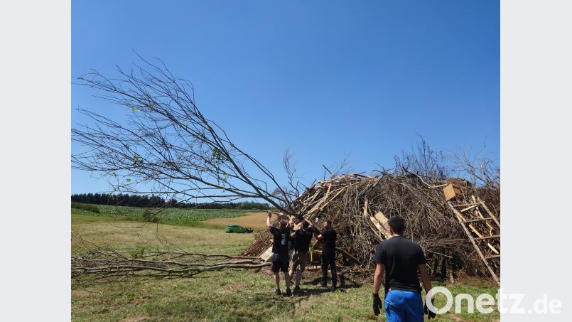Beim Aufbau werden Bäume zum Feuerplatz gebracht. WRM
