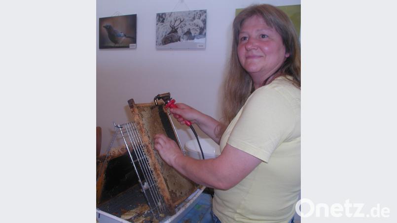 So wird Honig gemacht. gis