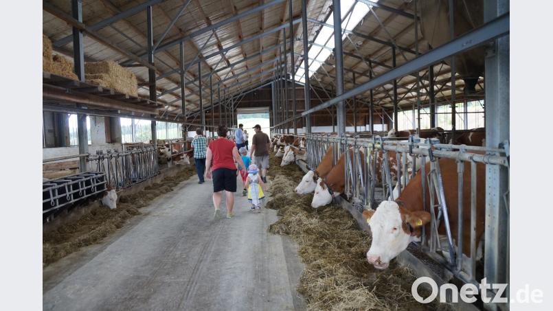 Der Tag der offenen Tür wurde am Bauernhof der Familie Köppl gerne angenommen. WEU