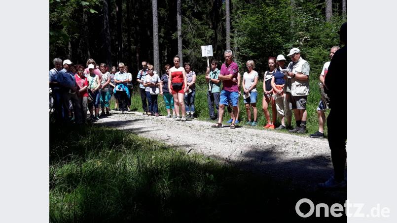 Durch den Veldensteiner Forst beteten die Michelfelder den Kreuzweg entlang der 14 Stationen zwischen Horlach und dem Schafsteg. Josef Stiefler-Ebert