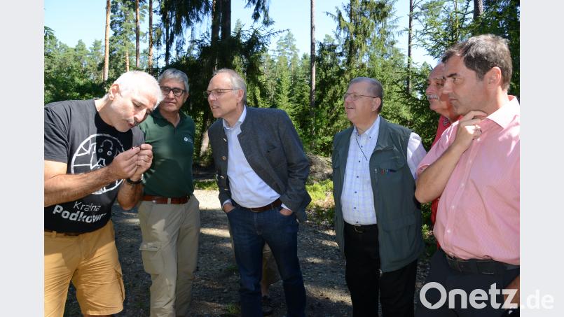 Fledermausexperte Rudolf Leitl (links) hält eine "Brandt-Fledermaus" in der Hand. Reinhardt Neft, Bayerische Staatsforsten, Präsident Claus Kumutat, Präsident Olaf Schmidt (von links) und Forstbetriebsleiter Rudolf Zwicknagl (rechts) müssen schon genau hinsehen, dass sie das possierliche Tierchen sehen. Beyerlein