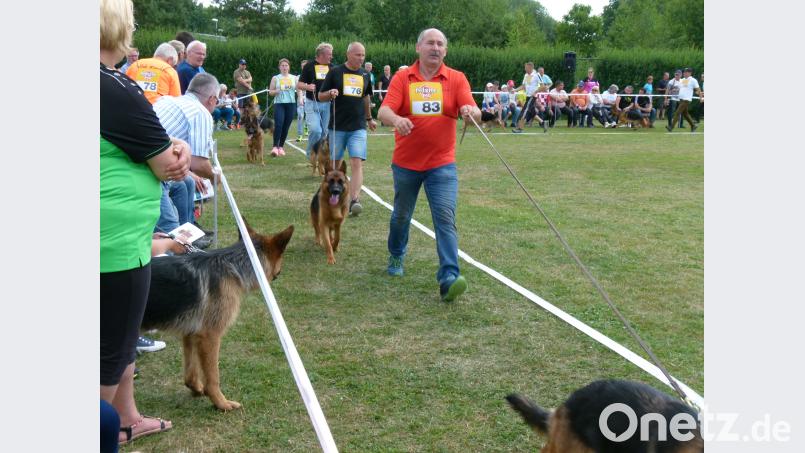 "Drangvoller Lauf" war bei Bewegungsrunden gefordert rn