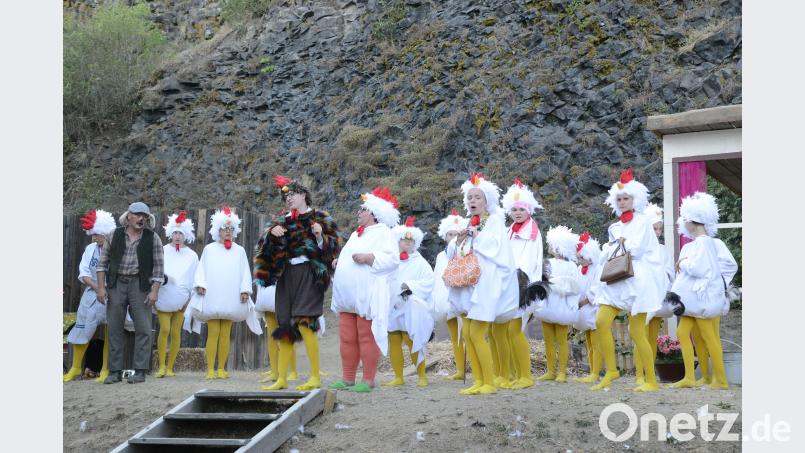 Der Hund Leo (links) und der Hahn Hannibal verstehen sich mit dem Federvieh bestens. BEY