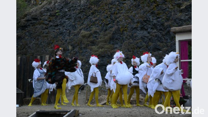 Der Stolz des Hahnes in seiner Hühnerschar ist unübersehbar. BEY
