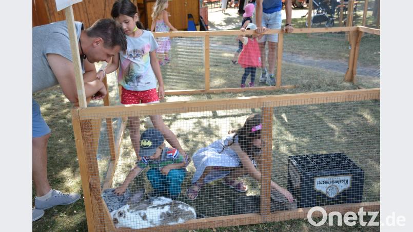 Im Streichelzoo gehen die Mädchen und Buben auf Tuchfühlung mit den Viecherln. ak