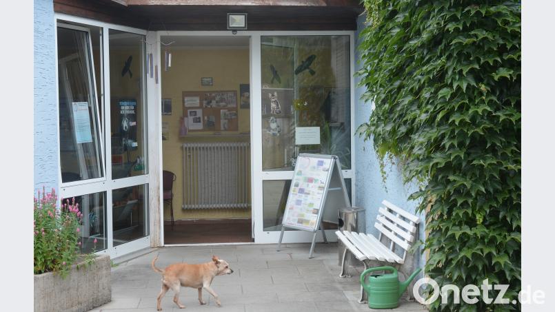 Offene Türen rennen Stadt und Landkreis beim Tierschutzverein mit den Plänen für den dringend nötigen Neubau des Tierheims ein. Gerade gab es ein Arbeitsgespräch, indem deutlich wurde, es geht voran. Nur, wer alles an Bord sein wird, ist noch unklar. gsb
