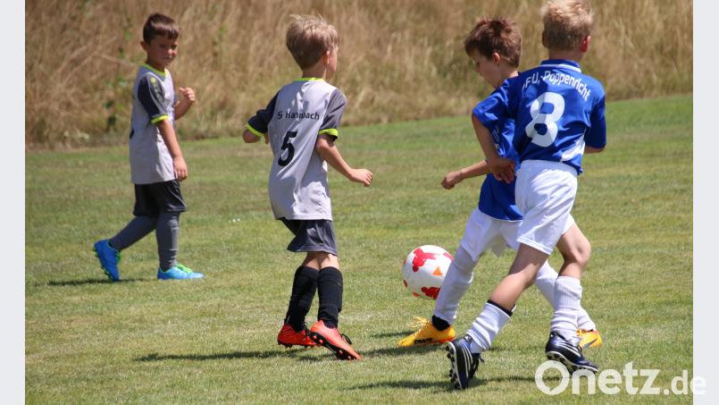 Die Spieler der F1 und F2 der Spielgemeinschaft Ursulapoppenricht/Gebenbach treffen beim Herding-Cup aufeinander. nko