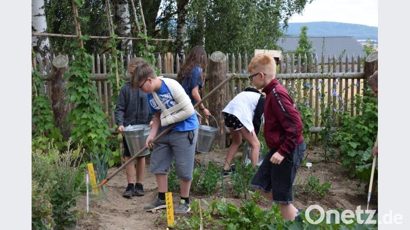 Im Schulgarten gibt es immer viel zu tun. bnr