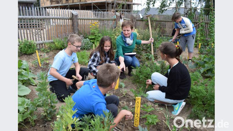 Gartenarbeit ist nicht so einfach. Bettina Kraus zeigt den Schülern wie es geht. bnr