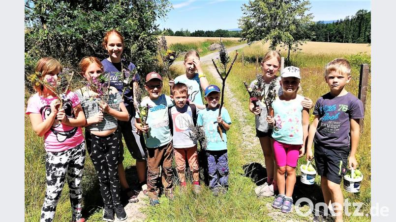 Nicht nur ihre schön mit Pflanzen dekorierten Astgabeln bringen die Kinder von der Kräuterwanderung mit nach Hause, sondern auch zwei kleine Eimer mit Äpfeln von der Streuobstwiese. jml