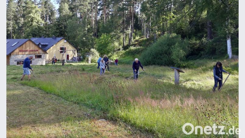 Früh übt sich, sagten sich die Teilnehmer am Sensenkurs, der vor wenigen Tagen an der Glasschleif angeboten wurde. wro