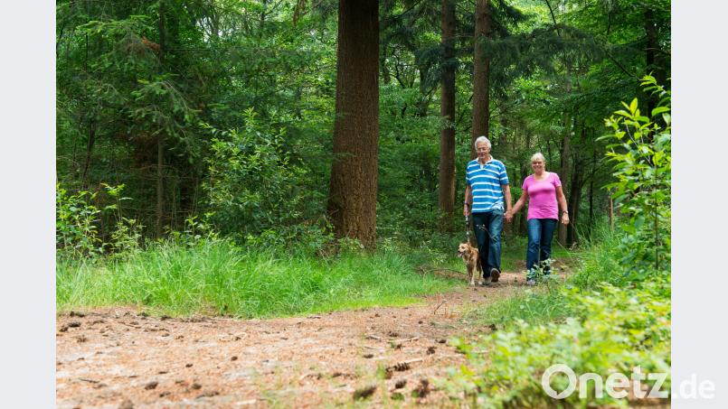 Schon ein kurzer Spaziergang im Park oder in der freien Natur hebt die Stimmung. stock.adobe.com/ Ivonne Wierink