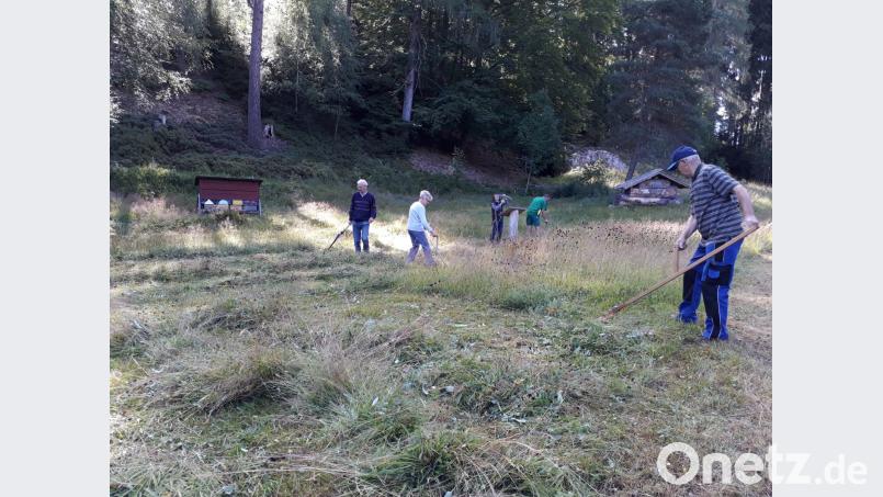 Richtiges Mähen will gelernt sein. Wie man es richtig macht zeigte die &quot;Steinwaldia&quot; auf der Glasschleif-Wiese. wro
