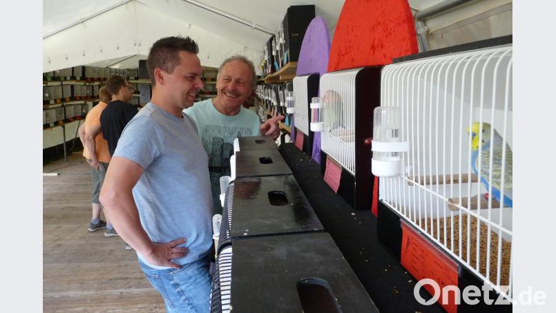 Im Ausstellungszelt finden die prämierten Vögel immer wieder staunende und fachkundige Bewunderer.  rlö