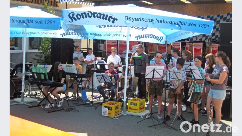 Beim Vorspielnachmittag der Musikschule Waldthurn zeigen die jungen Talente, was in ihnen steckt. fvo