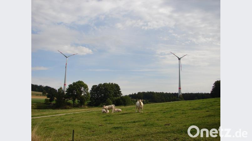 Seit etwa zwei Wochen stehen die Windräder in Witzlricht still. Uli Piehler