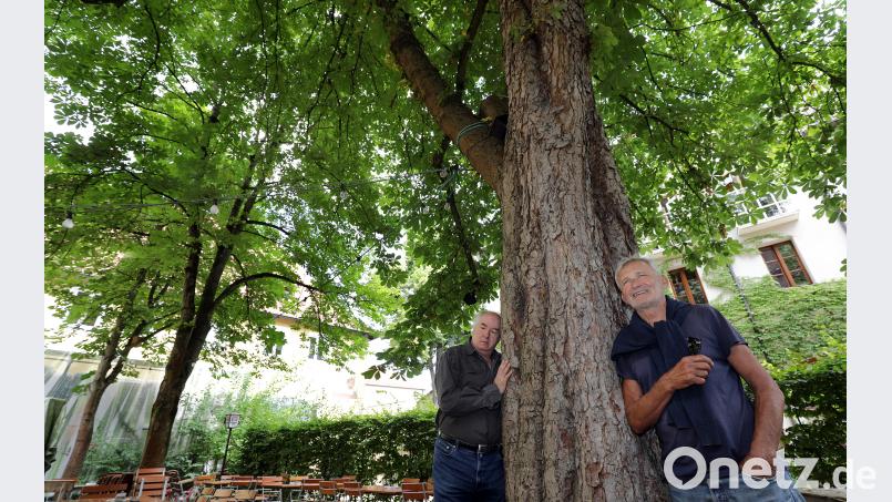 Stefan Reuther (links) und Achim Hüttner (rechts) von der Interessensgemeinschaft Menschengerechte Stadt. Sie wollen für den Erhalt der Kastanien im Casino-Biergarten kämpfen. Wolfgang Steinbacher