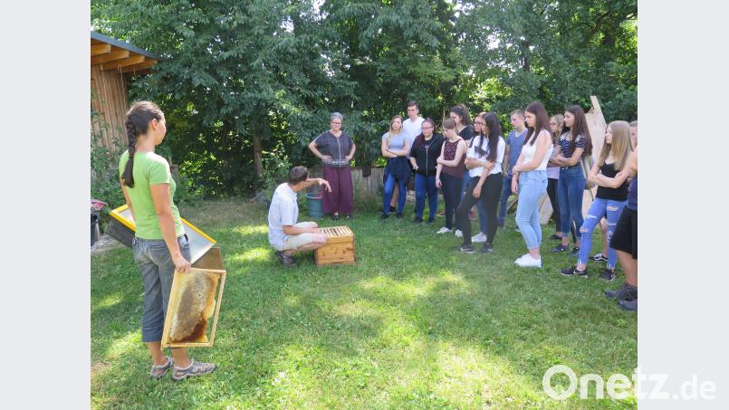 Hobbyimker Dr. Florian Hage zeigt den Zehntklässlern einen seiner Bienenkästen und was sich darin befindet. JZK