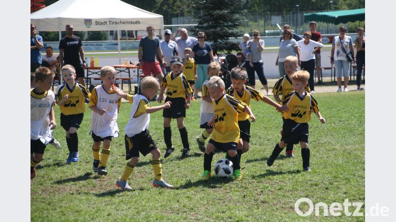 An zwei Tagen trugen 52 G-,F-,E- und D-Jugend-Mannschaften ihr Fußballturnier beim FC Tirschenreuth aus. lwa