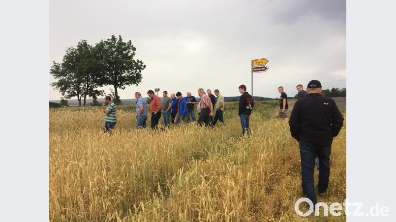 Feldbegehung auf den Feldern des Bio-Bauernhofs Bauer in Siegritz bei Erbendorf njn