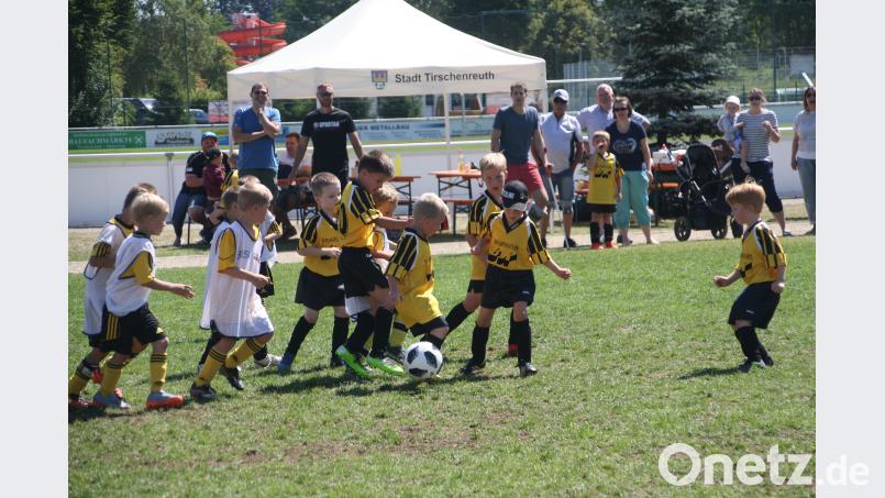 An zwei Tagen trugen 52 G-,F-,E- und D-Jugend-Mannschaften ihr Fußballturnier beim FC Tirschenreuth aus. lwa