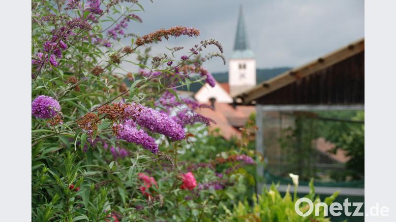Blick vom Garten auf die Wallfahrtskirche Pertolzhofen. Portner