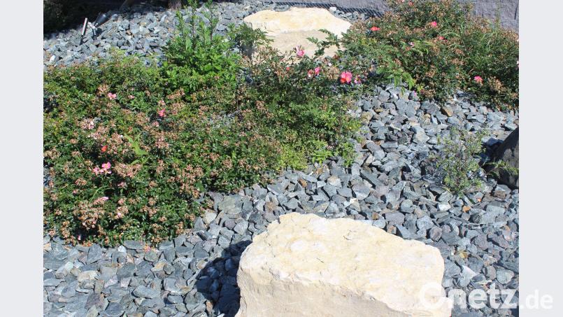 Moderne Gartengestaltung. Weiß