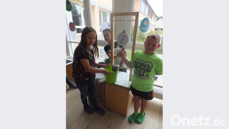 Neugierig probieren die Kinder die Stationen aus und staunen über die Erkenntnisse.	Bild: ibj ibj