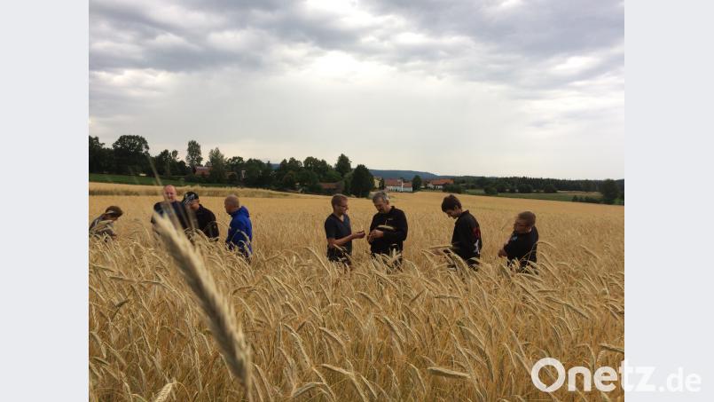 Interessante Gespräche über Fruchtfolge und die Entwicklung der Bestände vor Ort auf den Feldern. njn