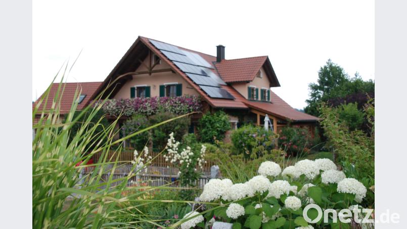 Die Hortensien blühen im neuen Garten und säumen den Blick auf das Wohnhaus im schon 1997 angelegten Grundstück Portner