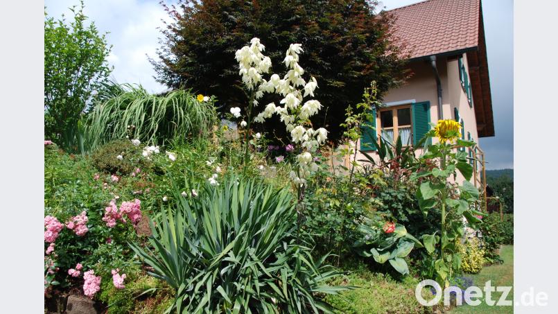 . Die extreme Hanglage lässt eine tolle Gestaltung zu. Portner