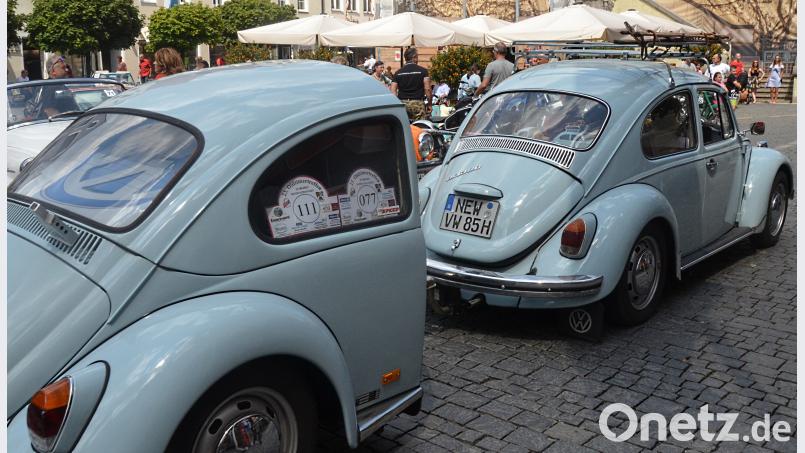 Zwei tolle Käfer. Bild: Kunz Kunz