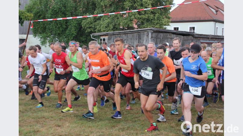 Start zum 8200 Meter-Lauf beim Waldnaabtal-Crosslauf der DJK Falkenberg, 107 Läufer gingen an den Start. kro