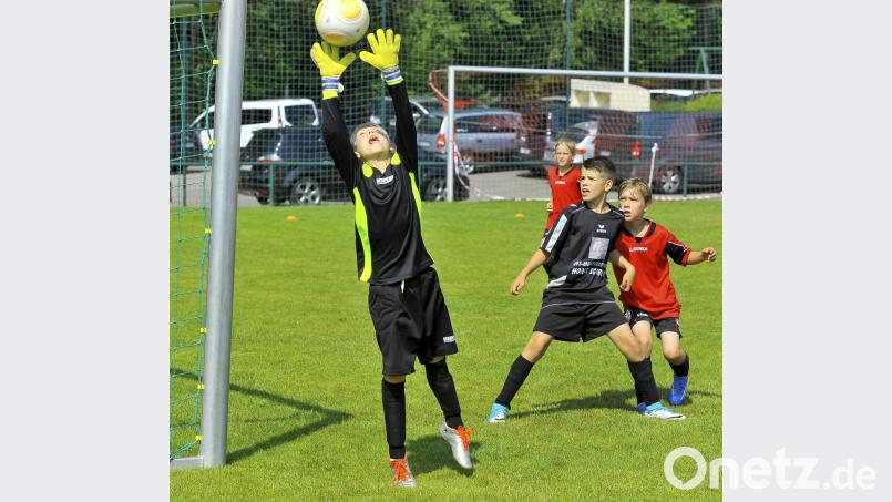Sommerturniere der D-und E-Junioren mit Mädchenmannschaften beim TSV Theuern. zg