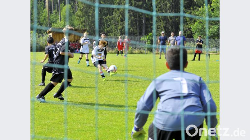 Sommerturniere der D-und E-Junioren mit Mädchenmannschaften beim TSV Theuern. zg
