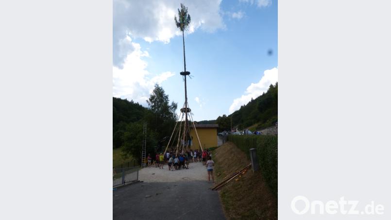 Das Baumaufstellen ist eine Kunst. fm