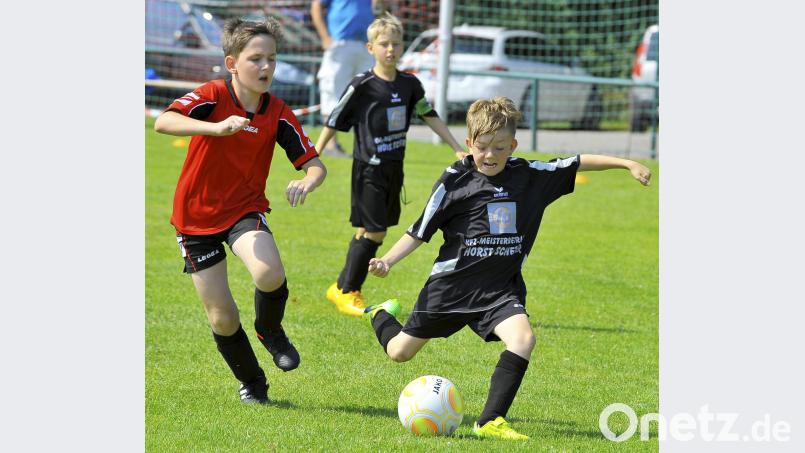Sommerturniere der D-und E-Junioren mit Mädchenmannschaften beim TSV Theuern. zg