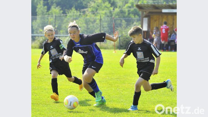 Sommerturniere der D-und E-Junioren mit Mädchenmannschaften beim TSV Theuern. zg