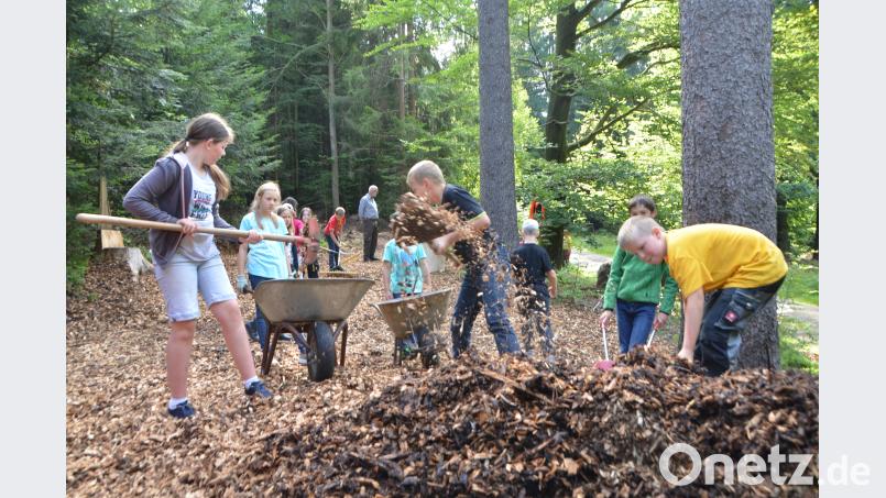 In einem Wald bei Neudorf entstand das erste "Grüne Klassenzimmer" in der Region. dob