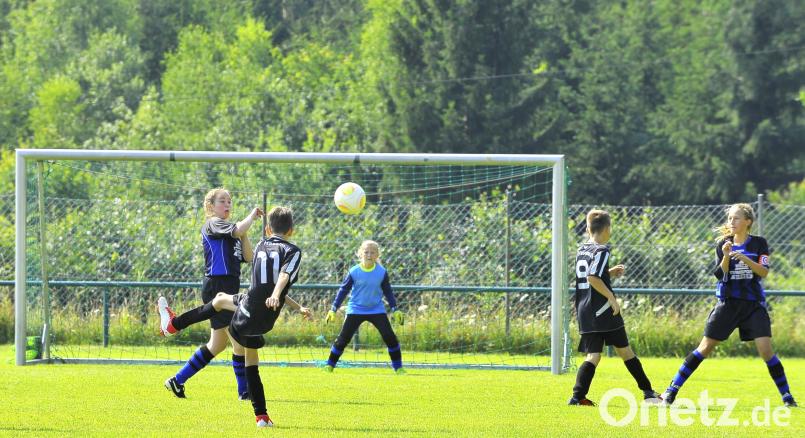 Sommerturniere der D-und E-Junioren mit Mädchenmannschaften beim TSV Theuern. zg