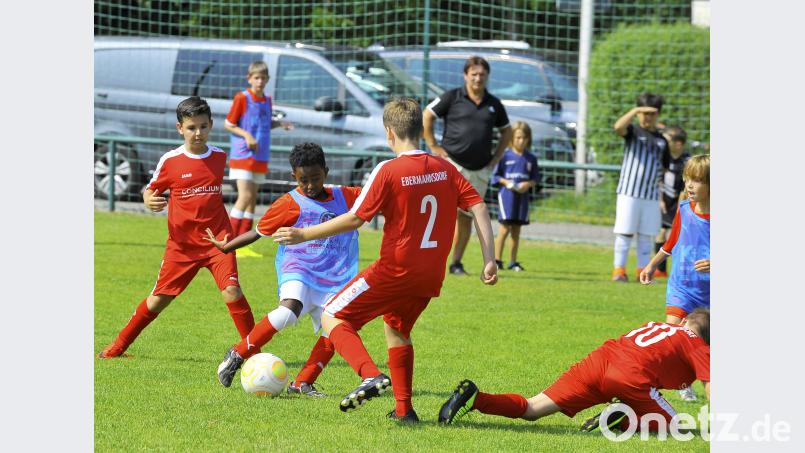 Sommerturniere der D-und E-Junioren mit Mädchenmannschaften beim TSV Theuern. zg