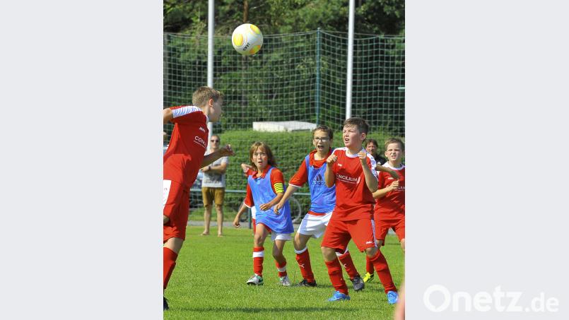 Sommerturniere der D-und E-Junioren mit Mädchenmannschaften beim TSV Theuern. zg