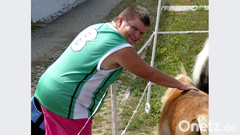 Keine Angst vor Ponys! fsb