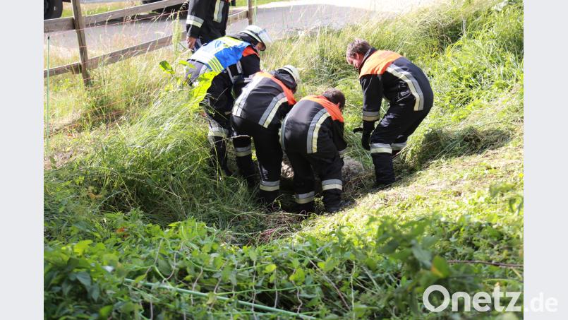 Die Einsatzkräfte haben Schafe aus einer hilflosen Lage gerettet. jma