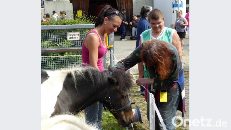 Keine Angst vor Ponys! fsb